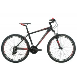 Raleigh Talus 2 Alloy Mountain Bike 2014